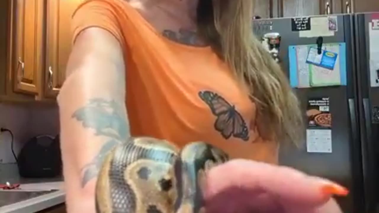 Ball Python Fun-Fundraiser!