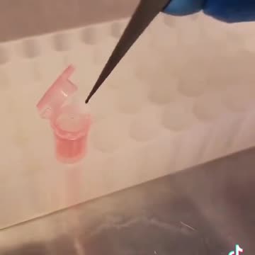 DIY Penicillin Instructions to make penicillin in a simple home laboratory