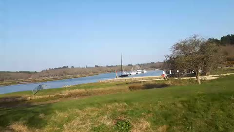 River at the new Forest.