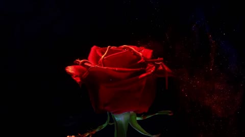 5. Romantic Music
