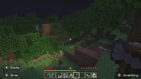 20x20 prt2 Minecraft Attempt