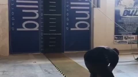 Incredibly Agile Dog Jumps for Gold