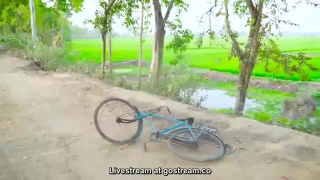 Funny videos story