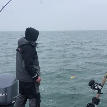 Saginaw bay walleye action