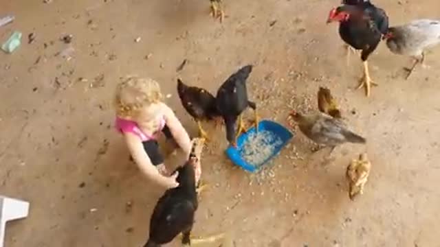 Criança pegando frango