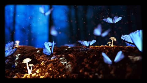 Soothing Music For Stress Relief
