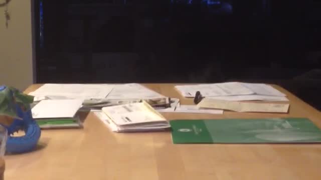 Black white boston terrier dog keeps jumping up to wooden table
