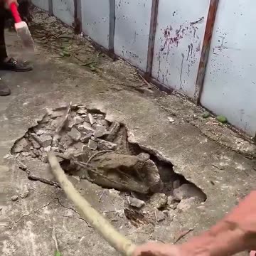 I could not believe my eyes