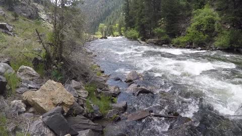 Clear Creek Serenity, June 2018