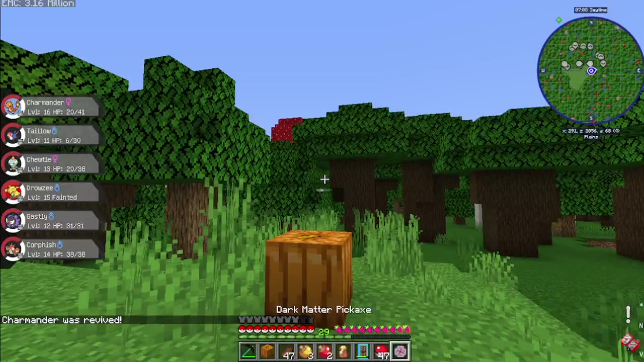 Pokehaan craft 2 eps 2 of Kanto