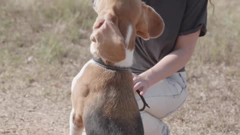 A Woman Training Her Dog