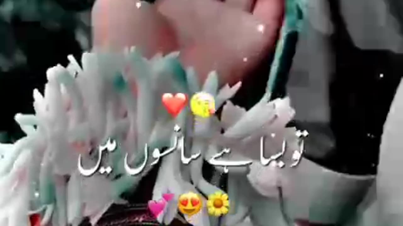 Your dream in my eyes