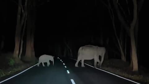 Car drive