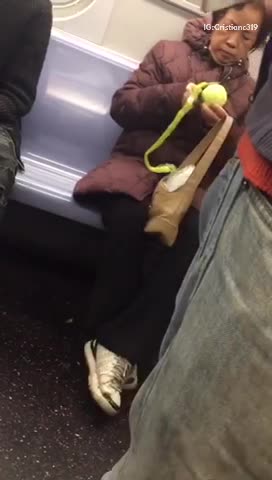 Woman purple puffy jacket peeling fruit on subway train with knife