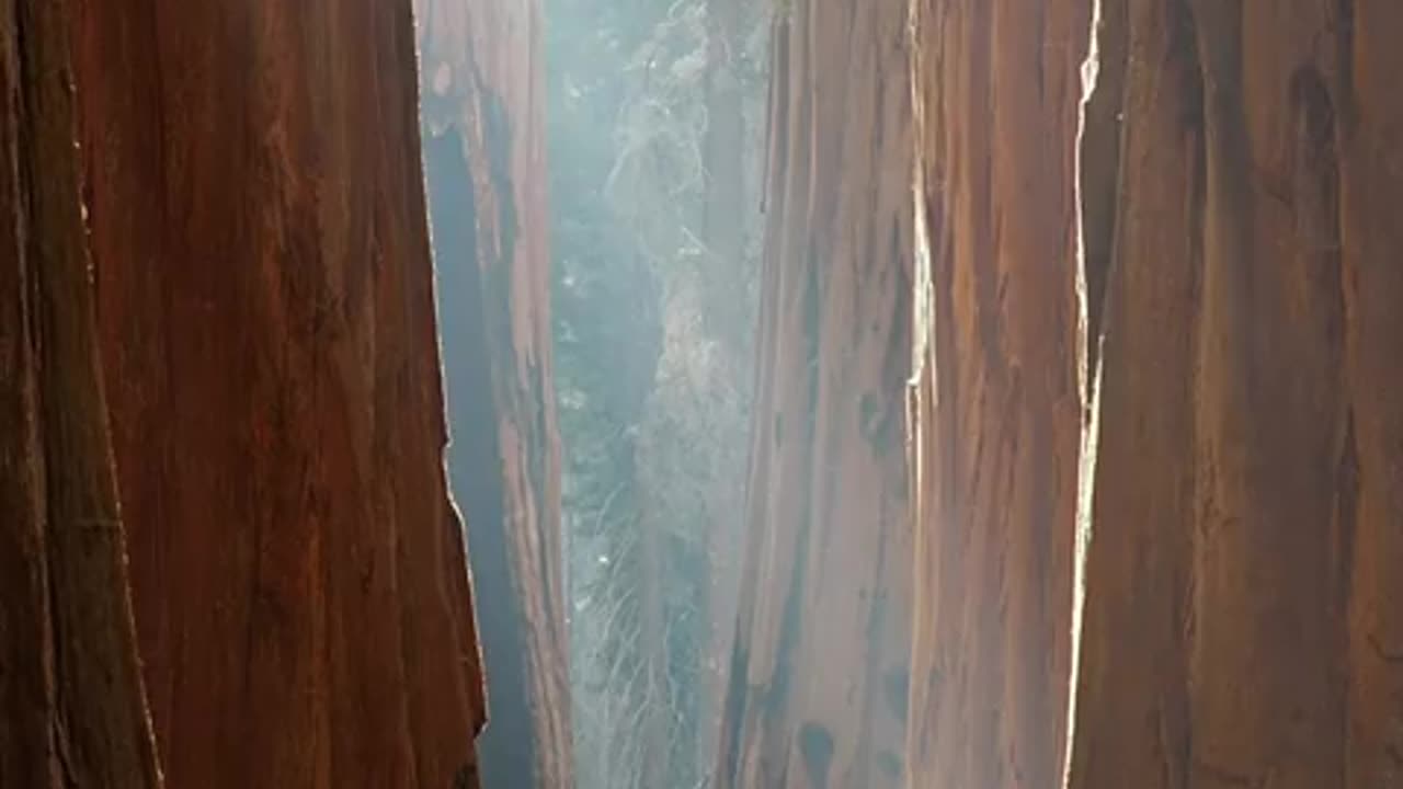 πΊπ² Sequoia National Park, California