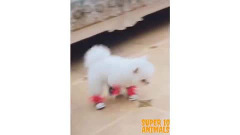 Super cute, must watch!