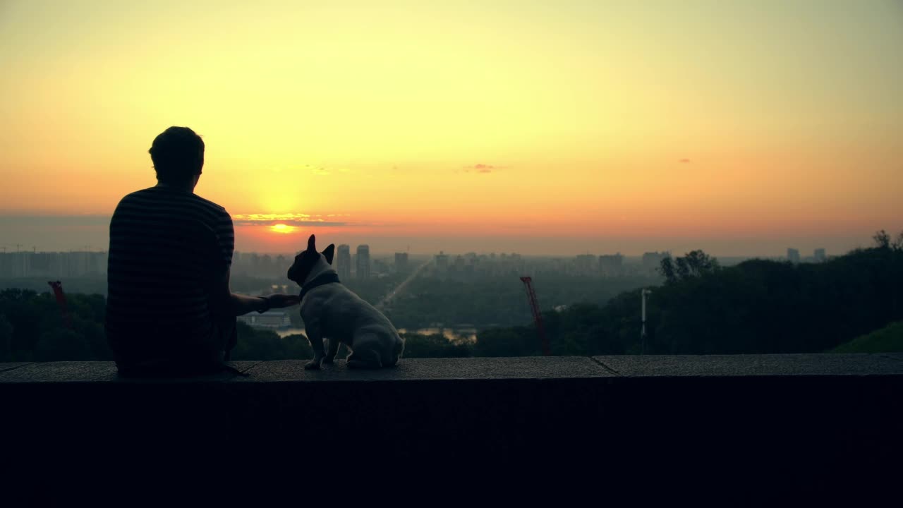 Man with his dog watching the sunset on the horizon