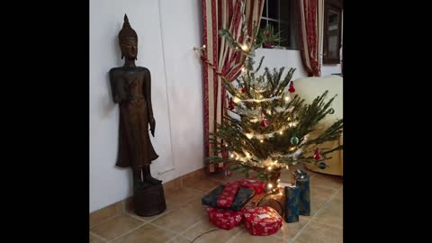 Noël 2021 : En quelques photos souvenirs...