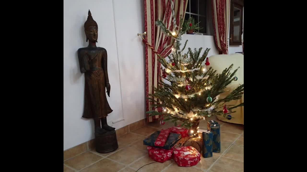 Noël 2021 : En quelques photos souvenirs...