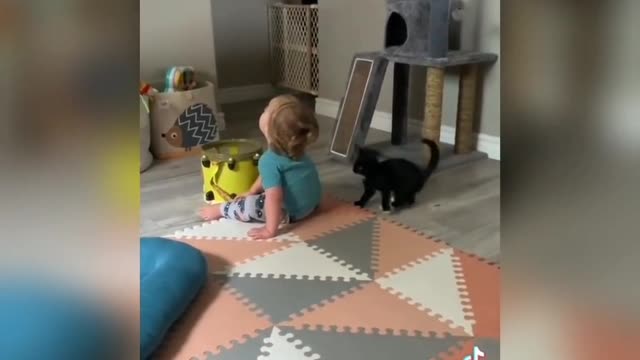 Cat wants to play with baby