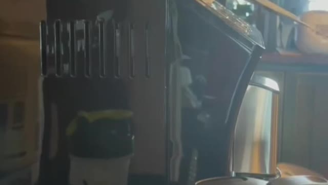 a bird that knows the melody