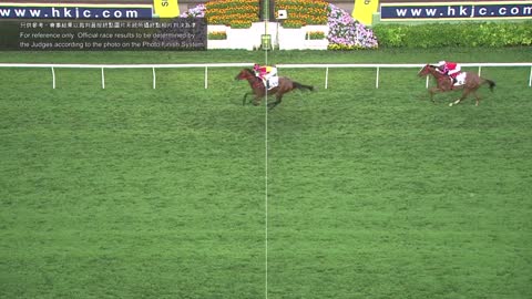 Horce_Race_2022050111_English