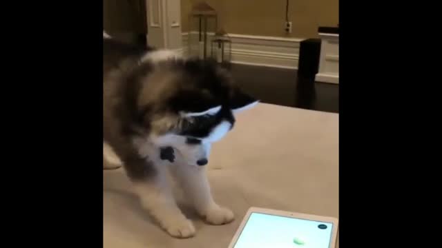 Jim learned to read an iPad