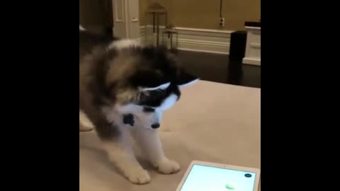 Jim learned to read an iPad