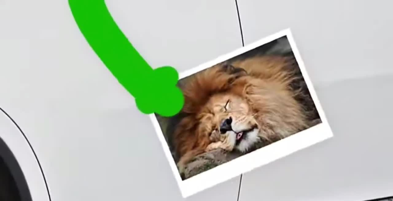 Try not to laugh! Lion photo shoot action ! Doodle fun