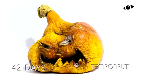 Halloween Time-Lapse 4K