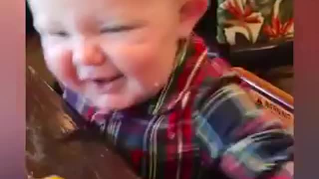 Baby eating lemon for the first time reaction.