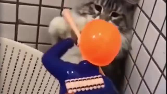 Animals Compilation 2021 Cute Animals πΆπ±ππΉ Funny Animal Videos