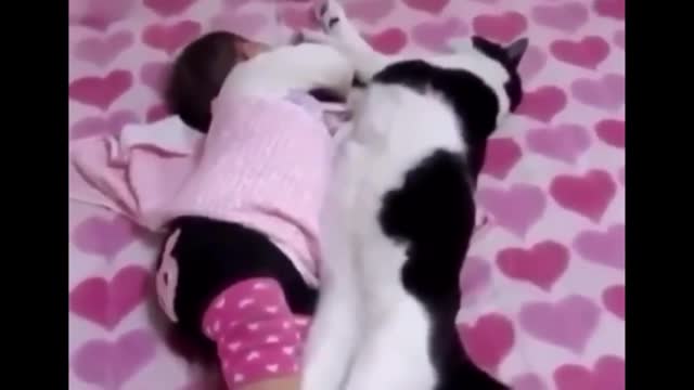 Baby and cat