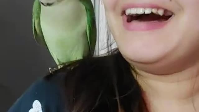 Parrot Insists On Singing Whenever Dad Plays Guitar | The Dodo Soulmates