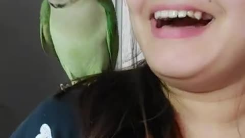 Parrot Insists On Singing Whenever Dad Plays Guitar | The Dodo Soulmates