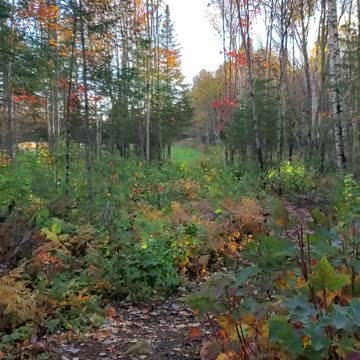 ATV Maine Fall Ride