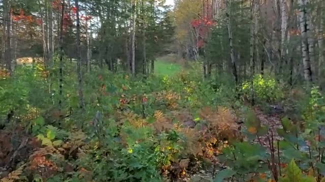 ATV Maine Fall Ride