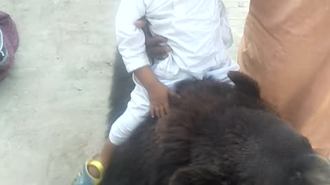 Baby riding on a bear