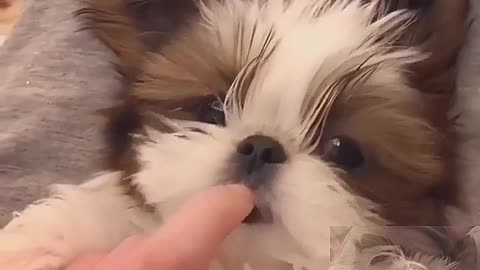 I'm so hungry.
