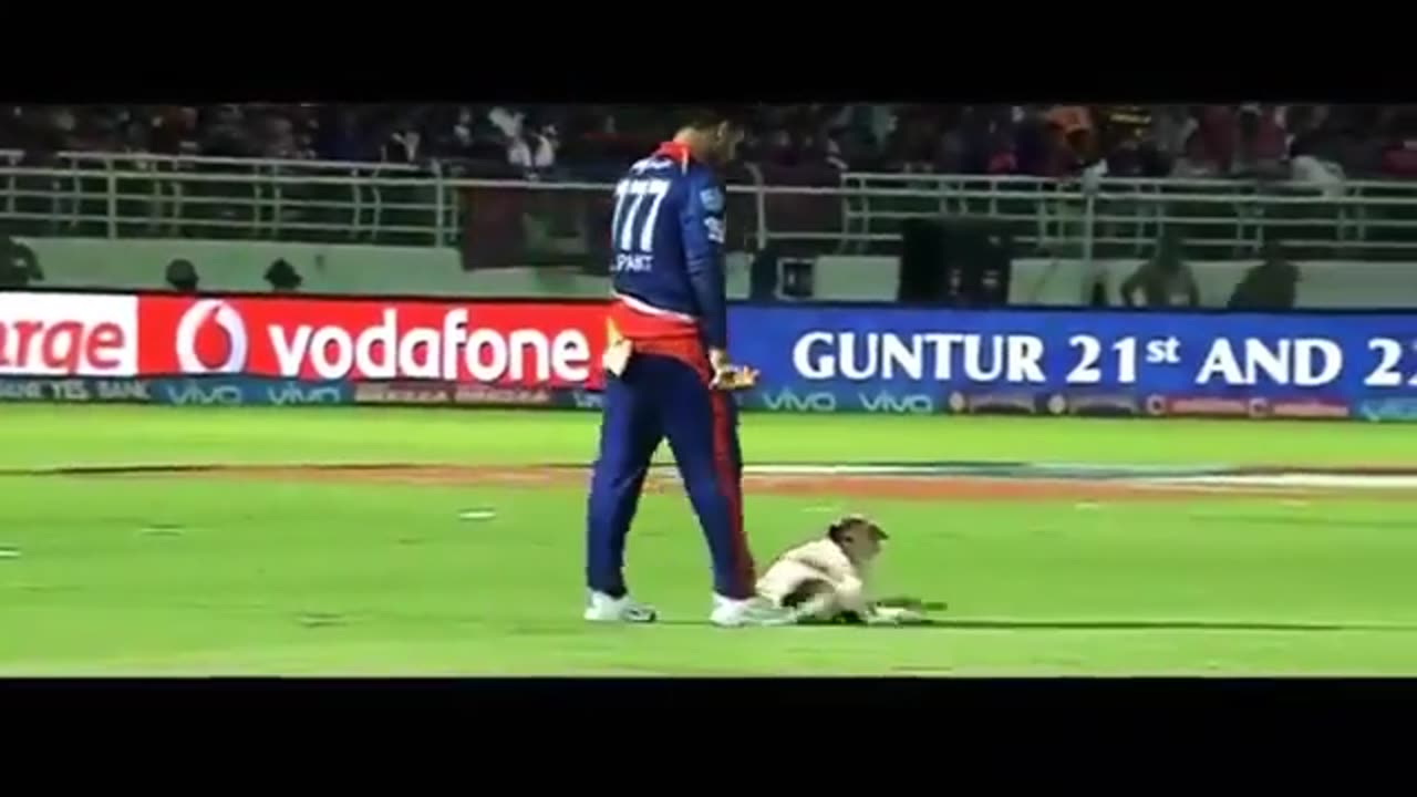 10 Best Funny Momoment In Cricket History- KRISH