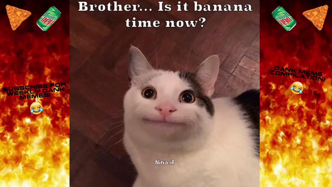 Meme Compilation#1