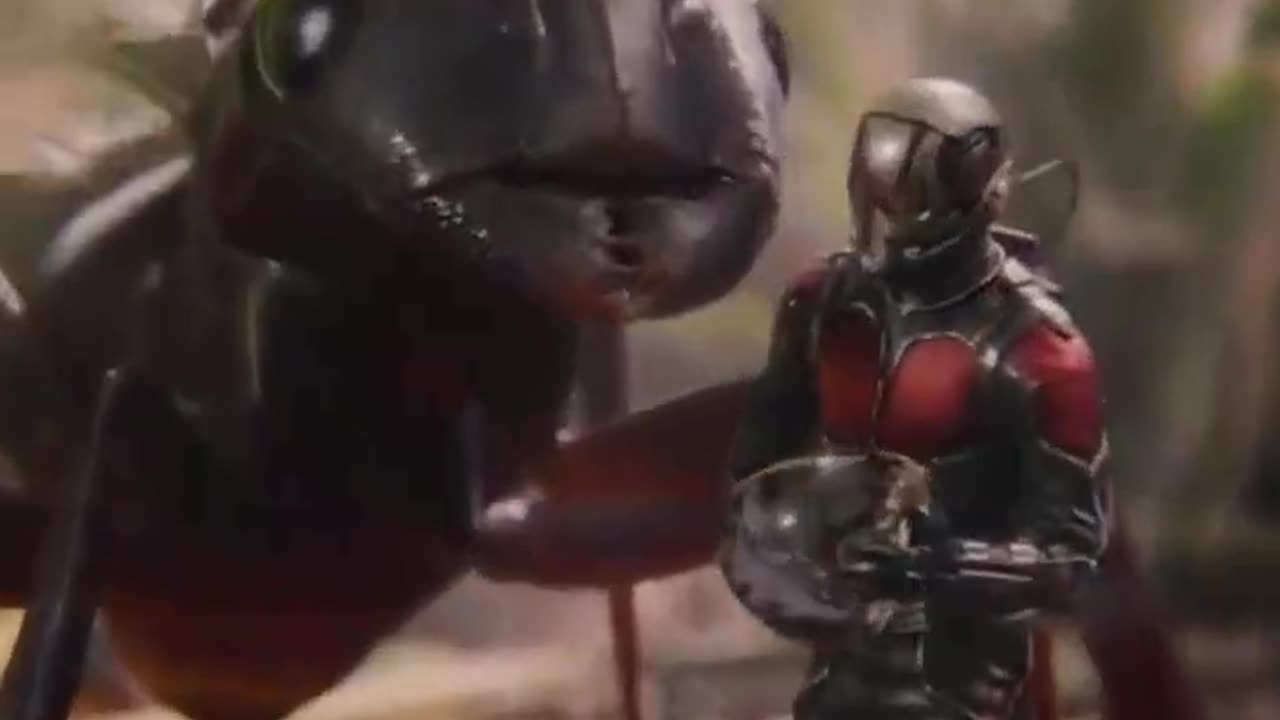 Ant man Friends