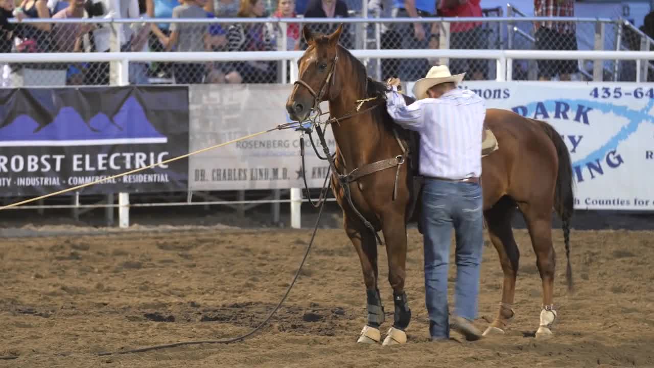 Editorial a calf roper cowboy in a PRCA Oakley rodeo