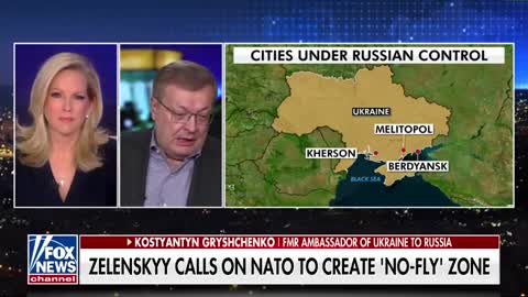 Former Ukrainian foreign minister, Kostyantyn Gryshchenko talks no-fly zones as conflict escalates