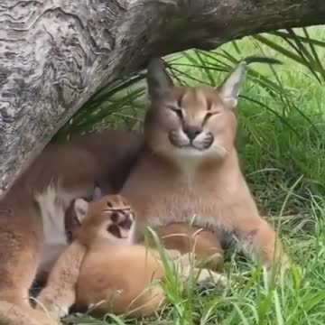 They are so cute 😍