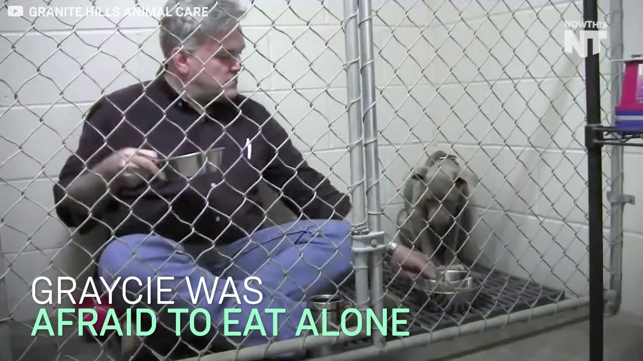 She Couldn’t Eat Alone So He Climbed Into Her Cage