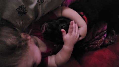 Puppy and baby