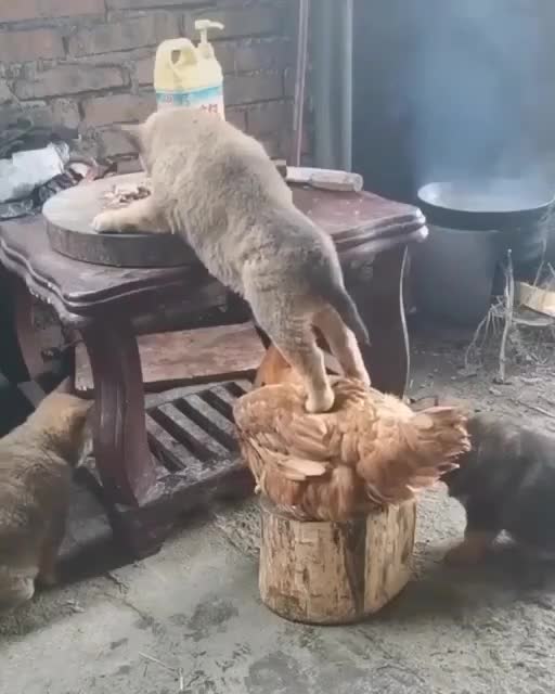 The brigade - Teamwork