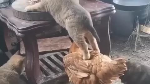 The brigade - Teamwork