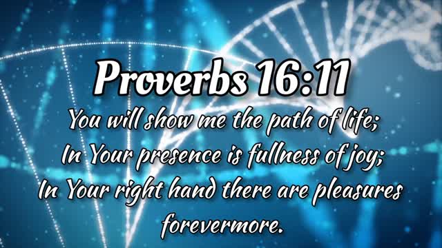 Joy & Life (Health Holy Bible Verses)